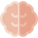 cerebro icon