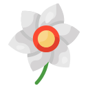 narciso 
