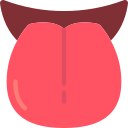 lengua icon