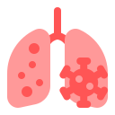 pulmones icon