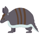 armadillo icon