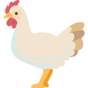 pollo icon