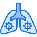 pulmones