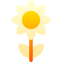 girasol icon