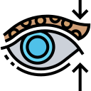 blefaroplastia icon