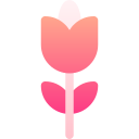 rosa icon