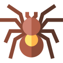 tarántula icon