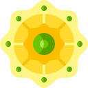 mandala icon