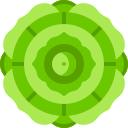 mandala icon