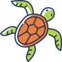 tortuga icon