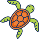 tortue icon
