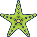 estrella de mar 