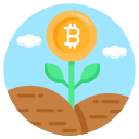 bitcoin icon