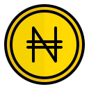 naira icon