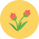 tulipán icon