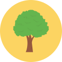 Árbol icon