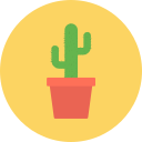 cactus icon