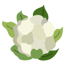 coliflor icon