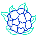 coliflor icon