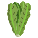 lechuga icon