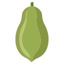 papaya icon