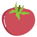 tomate icon