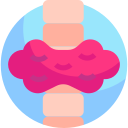 endocrino icon