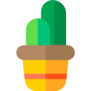 cactus icon