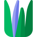 aloe vera icon