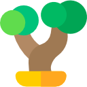 bonsai icon