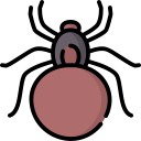 Spider icon