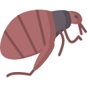 pulga icon