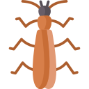 stonefly icon