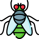 mosca verde icon