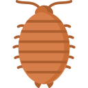 woodlouse icon