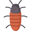 cucaracha silbante de madagascar