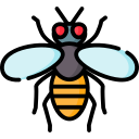 abeja