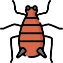 Aphid icon