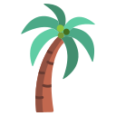 palmera