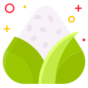 zongzi icon