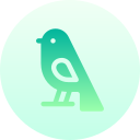 pájaro icon