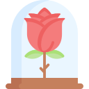 rosa