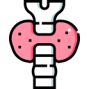 endocrino icon