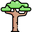 baobab icon