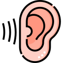 auditivo 