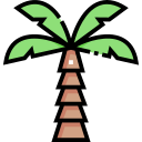 palmera icon