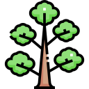 Árbol icon