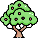 Árbol icon