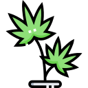 canabis icon