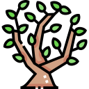 magnolia icon